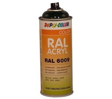 PEINTURE ACRYLIQUE BRILLANT RAL 6009 VERT SAPIN