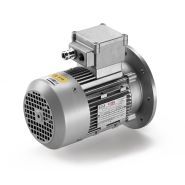 Moteur ATEX RL - Elvem - Hauteur d’axe de 56 à 160 - Moteurs antidéflagrants_0
