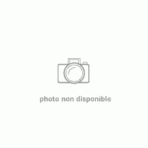 Adaptateur PPS en inox - WINGO SFC - diamètre 80M/110F - colis DY902 100015318_0