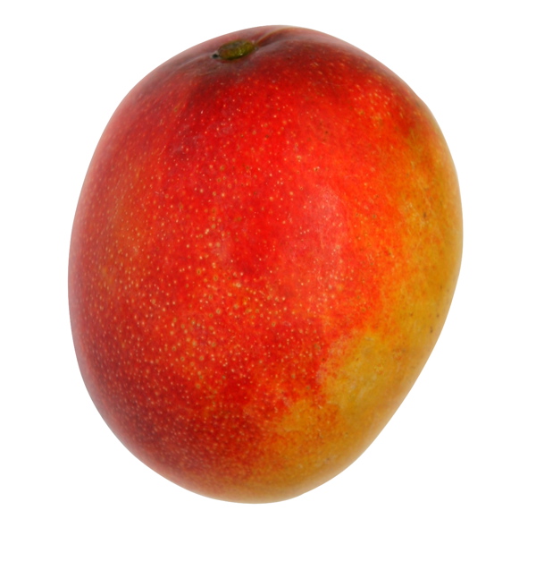 Pulpe de mangue 100% naturelle - Congelée ultra-rapidement - Sans sucres ni additifs_0
