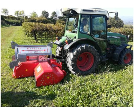 Top broyeur forestier Dragone Web - rotor 200mm - rouleau arrière 200mm - corps en tôle HARDOX_0