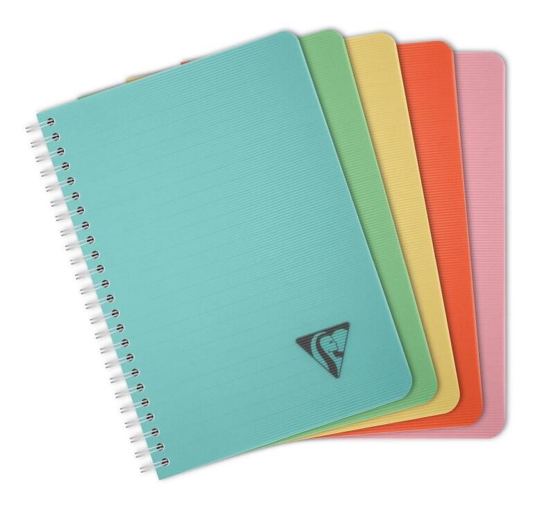 Clairefontaine Lot de 5 Carnet Linicolor Essence A5, 180p./90 feuilles 90 g/m² reliure intégrale, couv. Polypro assortis, ligné - 3329683275466_0