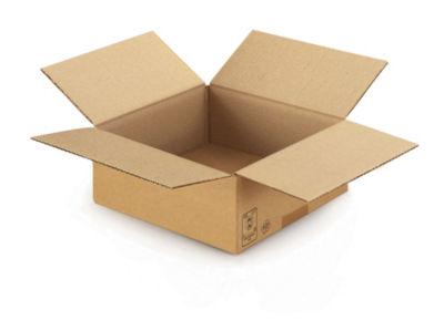 Caisse carton brune simple cannelure RAJA 25x25x10 cm, lot de 25_0