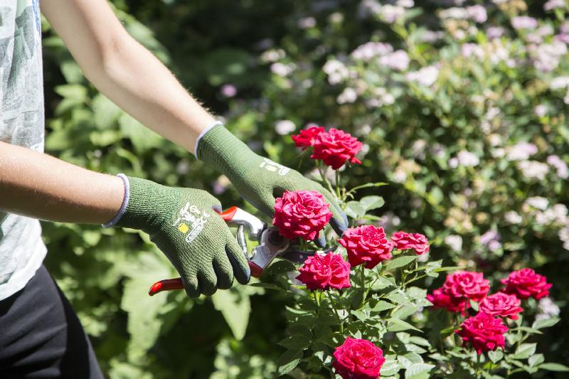Gants de protection en latex pour enfant - turquoise, 8-11 ans - hydrofuge et ajustés_0