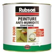 PH5000 PEINTURE ANTI HUMIDITé BIDON 2.5LITRES - RUBSON