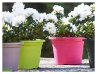 Pot de fleur - Pot cylindrique coloré - Références et dimensions variées_0