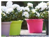 Pot de fleur pot cylindrique colore_0