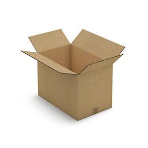 CAISSE CARTON BRUNE TRIPLE CANNELURE RAJA 48X30X33 CM