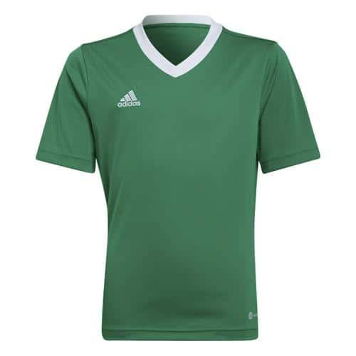 MAILLOT ENFANT - ADIDAS - ENTRADA 22 VERT