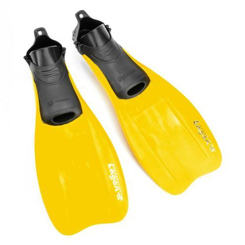 PALMES CHAUSSANTES SNORKELING LAGON