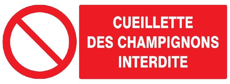 Panneaux rigides 200x52 mm obligations interdictions - PNGPSC-TL03/ICPP_0