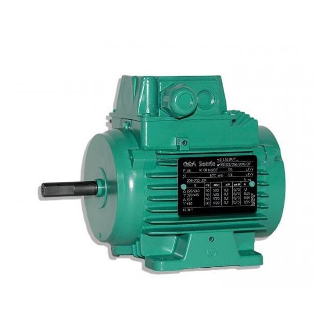 Moteur electrique ls 63 0.20/4_0