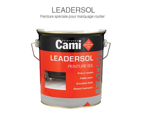 PEINTURE SOL LEADERSOL GRIS CLAIR 0.5 L : CAMI 000000879R8