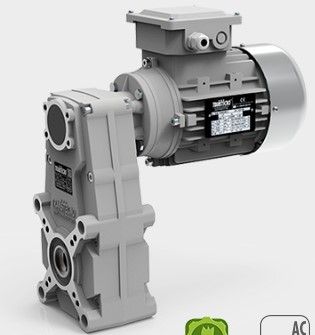 Motoréducteurs pendulaires FT - courant alternatif - Transtecno SRL_0