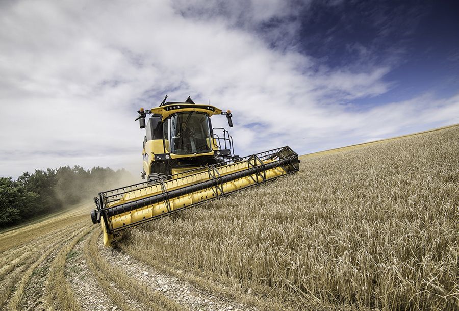 Cx5.90 hillside 3,5 m moissonneuse batteuse - new holland - trémie capacité / version hillside (l) 7 300_0