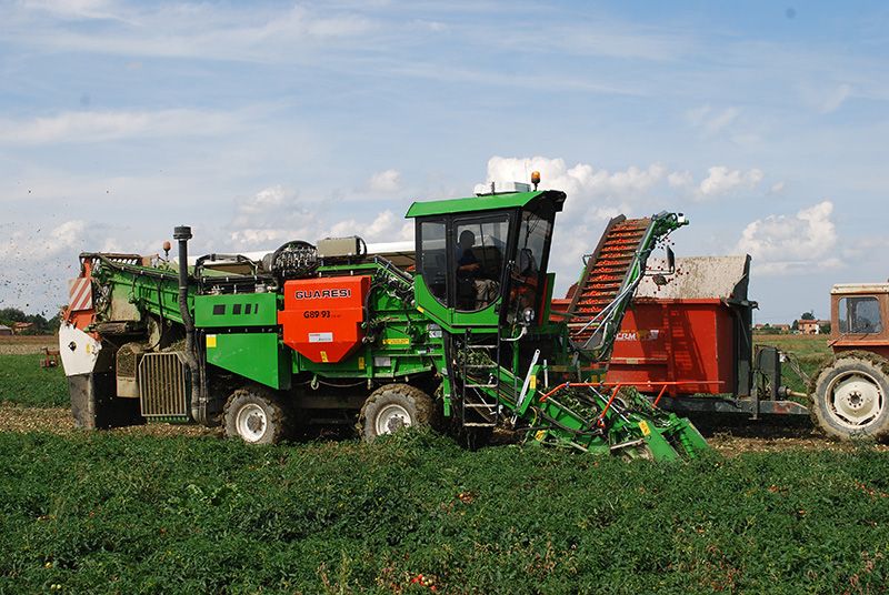 Récolteuse à tomates G-89/93 DS40