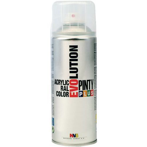 PINTY 400ML RAL 6009 BRILLANT EN VERT