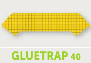 PLAQUE DE GLU GLUTRAP 40 POUR DÉSINSECTISEURS