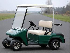 Véhicule 627 melex golf car_0