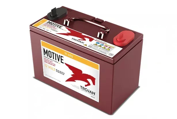 Batterie agm TROJAN 31-aes 12v 102 ah_0