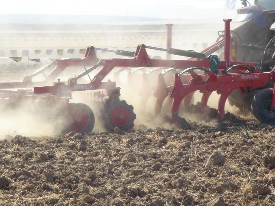 covercrop