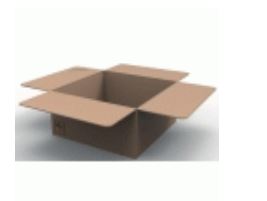 Bac à palmier simple, classique - CARTON_0