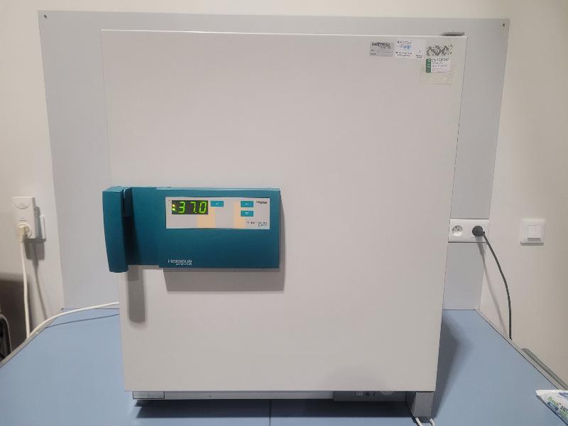 Incubateur / étuve HERAEUS B12 avec convection naturelle 70°C_0