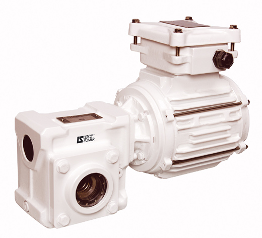 Motoréducteur en fonte LEROY-SOMER MULTIBLOC IAW FLS IAW - Hygiène et performance pour l'agroalimentaire_0