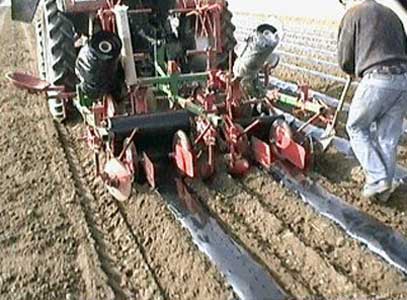 Film plastique agricole en grandes dimensions - CBS Emballages_0