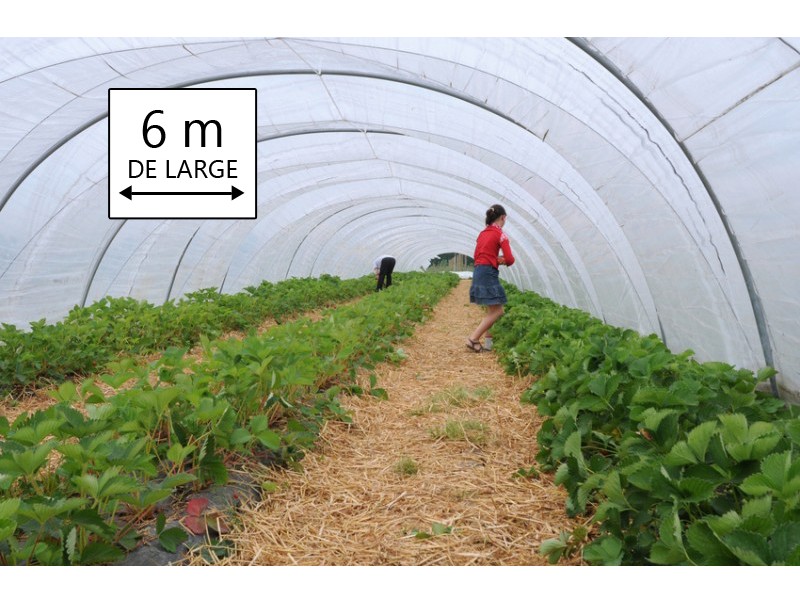 Bâche transparente pour serre de jardin 6 x 8 m - PEBD 200µ très épais - Fabrication Française_0