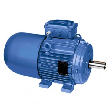 Moteur asynchrone frein en fonte WEG IE2 - 220-380-660 V - 3 à 37,5 kW_0