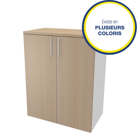 ARMOIRE 2 PORTES MI-HAUTE EXPRIM 102 X 80 CM (COLORIS AU CHOIX)