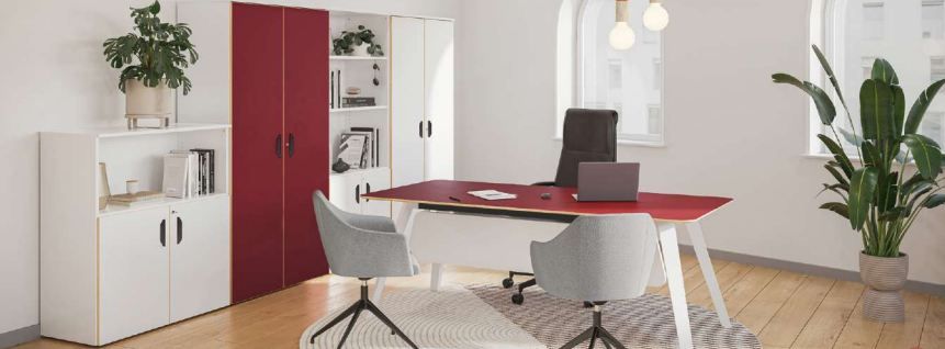 Armoire de rangement pour bureau de direction - Gamme ALTITUDE - différentes tailles et options de rangement_0