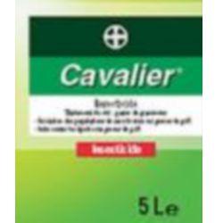 Protection insecticide cavalier_0