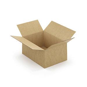 CAISSE CARTON BRUNE SIMPLE CANNELURE À MONTAGE INSTANTANÉ RAJA 31X22X15 CM