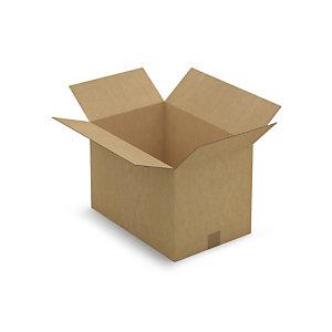 CAISSE CARTON BRUNE SIMPLE CANNELURE RAJA 45X30X30 CM
