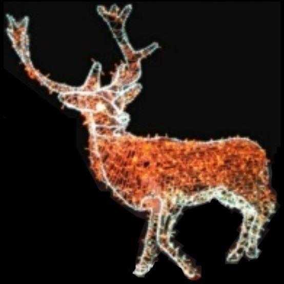 Cervidé lumineux 3D - Décor extérieur de Noël pour ville - Structure PVC et LED - 240 cm_0