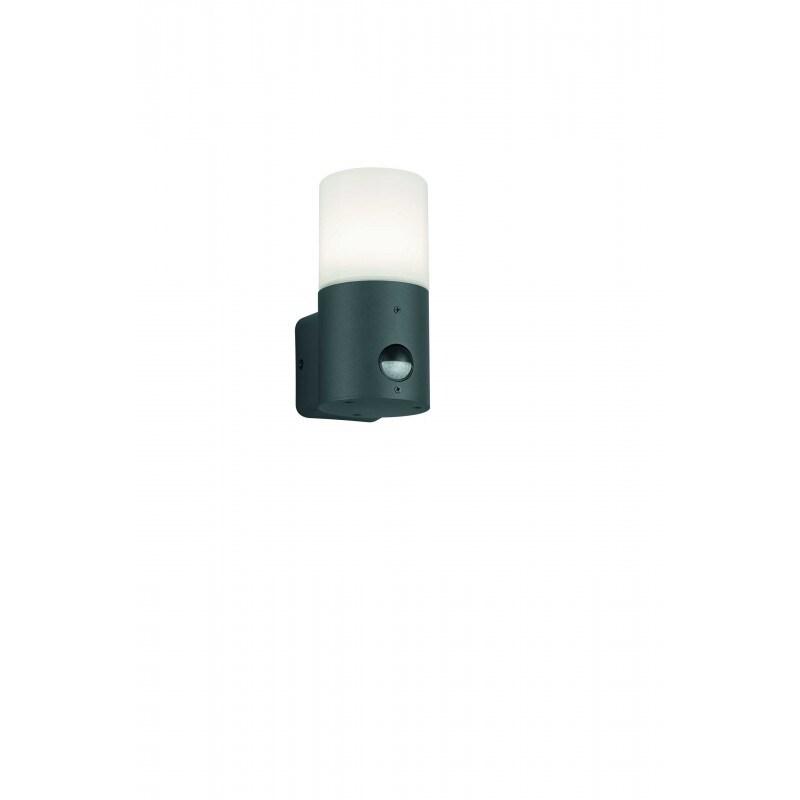 Petite applique extérieure Hoosic détecteur de mouvement 1x E27 IP44 anthracite aluminium - Trio Lighting - beige 4017807382570_0