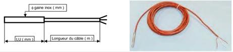 Sonde de résistivité SCAB - Gaine en acier inox 316L - Température -50°C à 350°C - Applications variées_0