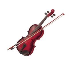 SET VIOLON