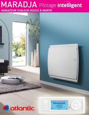 OBTURATEUR 2 MODULES TITANE - APPAREILLAGE MURAL GALLERY HAGER WXF689T