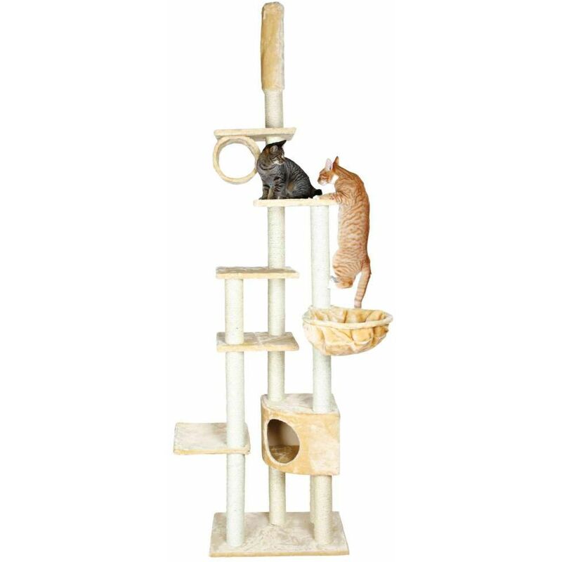 Arbre A Chat Madrid Du Sol Au Plafond 245 270 Cm Beige Trixie Comparer Les Prix De Arbre A Chat Madrid Du Sol Au Plafond 245 270 Cm Beige Trixie Sur Hellopro Fr Arbre A Chat Madrid Du Sol Au Plafond 245 270 Cm Beige Trixie Comparer Les Prix De Arbre A Chat Madrid Du Sol Au Plafond 245 270 Cm Beige Trixie Sur Hellopro Fr