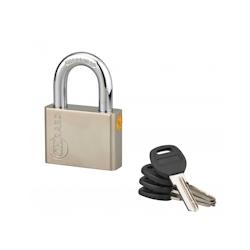 Cadenas à clé Quadra, acier, chantier, anse acier, 60mm, 4 clés - THIRARD - gris 3150260955217_0