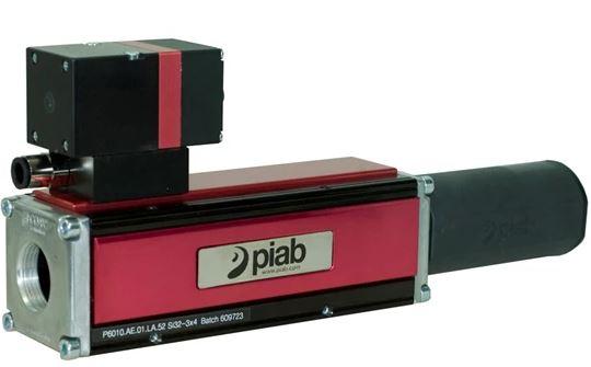 Pompe standard P6010 PCC - Technologie COAX® et régulateur programmable_0