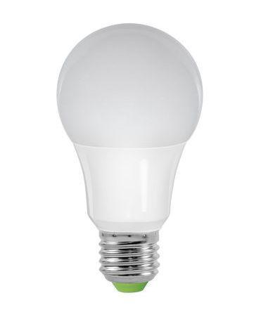 Ampoule LED S11 - A60 - E27 - 9W - 4 000K - 810lm_0