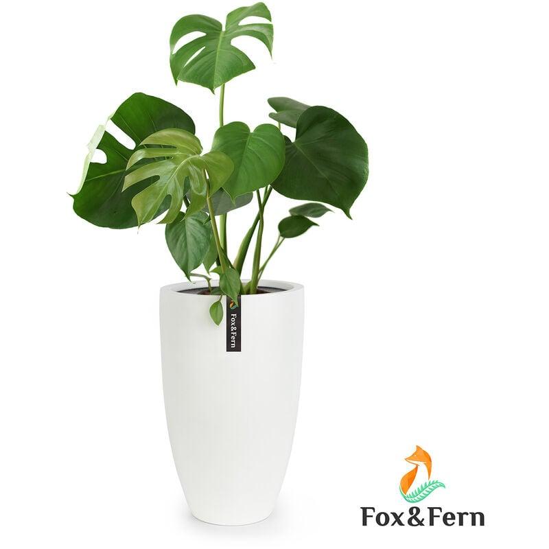 Fox & Fern Pot de Fleur Interieur, Lot de 2 Pot pour Plantes en Polystone,  Cache