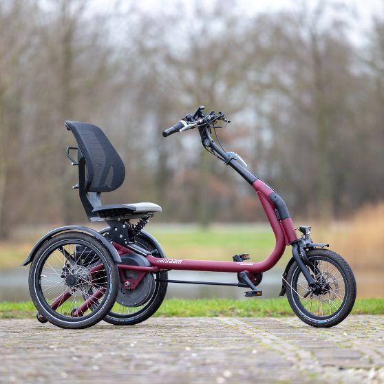 Tricycle Van Raam Easy Rider Compact - Confortable et maniable pour petits adultes et grands enfants_0