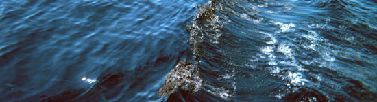 Dispersant marin - finasol® osr