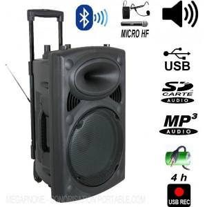 Sono portable port 12-vhf - 350 w- 30 cm_0