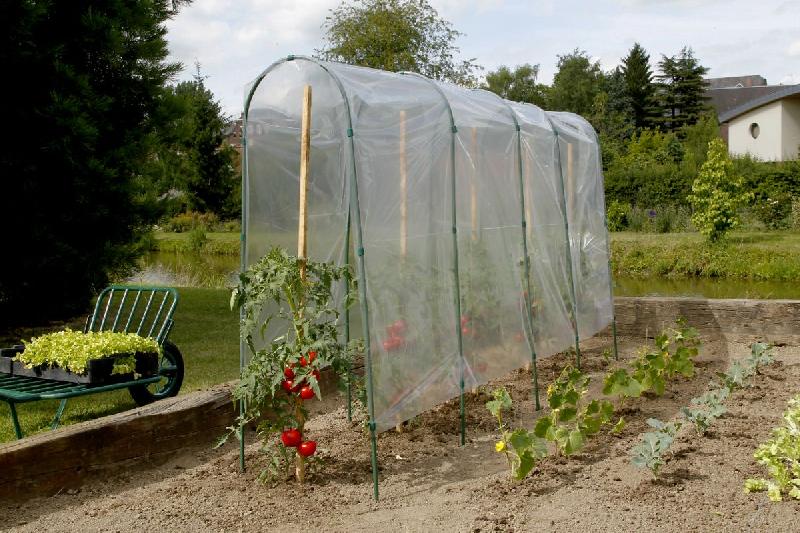 Film de forçage tunnel tomates 